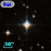 Ruiz 207-94