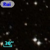 Ruiz 207-99