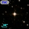 TYC 8130-1321-1