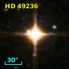 HD  49236