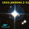 1RXS J064044.2-514008