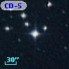 CD-53  1446