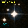 HD  42248
