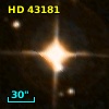 HD  43181