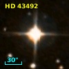 HD  43492