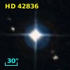 HD  42836