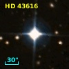 HD  43616
