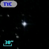 TYC 8113-811-1