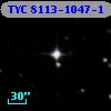 TYC 8113-1047-1
