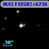 IRAS F18502+6736