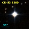 CD-53  1289
