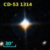 CD-53  1314