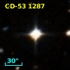 CD-53  1287