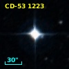 CD-53  1223