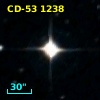 CD-53  1238