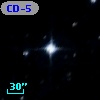 CD-53  1239