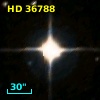 HD  36788