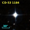 CD-53  1184