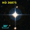 HD  36875