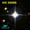 HD  36686