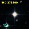 HD 273800