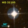 HD  31105