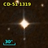 CD-51  1319