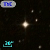TYC 8083-1175-1