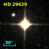 HD  29429