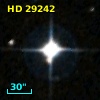 HD  29242