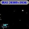 IRAS 20309+3836