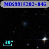 [MDS99] F202-045