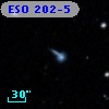 ESO 202-5