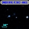 [MDS99] F202-065