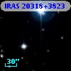 IRAS 20318+3823