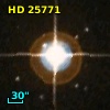 HD  25771
