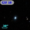 GSF  10