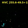 HVC 255.6-49.5+159