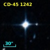 CD-45  1242
