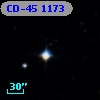 CD-45  1173