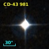 CD-43   981