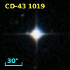 CD-43  1019