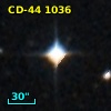 CD-44  1036