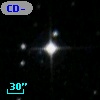 CD-44   988