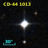 CD-44  1013
