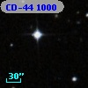 CD-44  1000