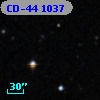 CD-44  1037