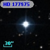 HD 177875