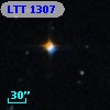 LTT  1307