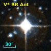 V* RR Ant